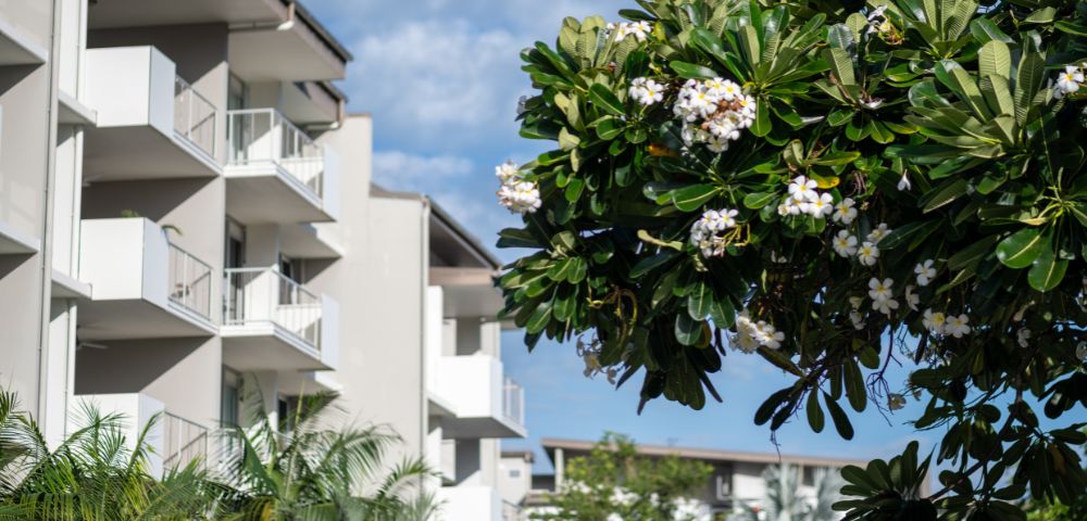 Modern apartment buildings with balconies against a blue sky, near leafy trees and blooming white flowers, convey a serene, urban setting.