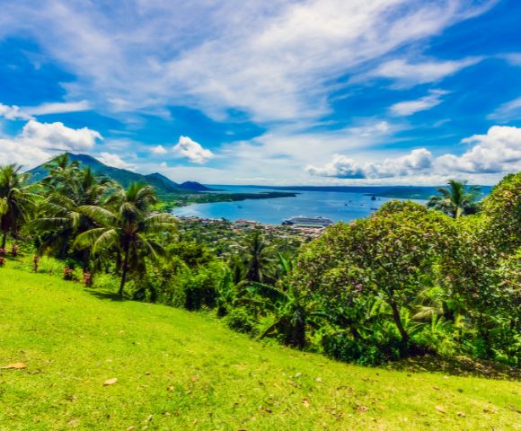 Tropical landscape with lush green hills, palm trees, and a vivid blue sea under a partly cloudy sky. Relaxing and vibrant coastal scene.