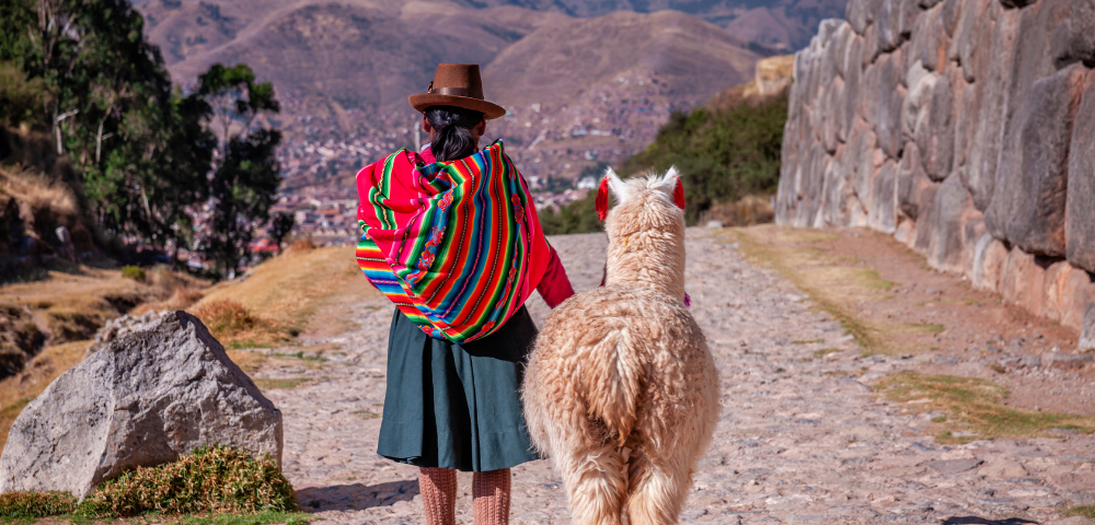 Hola! 20 Day South America Tour Image 3