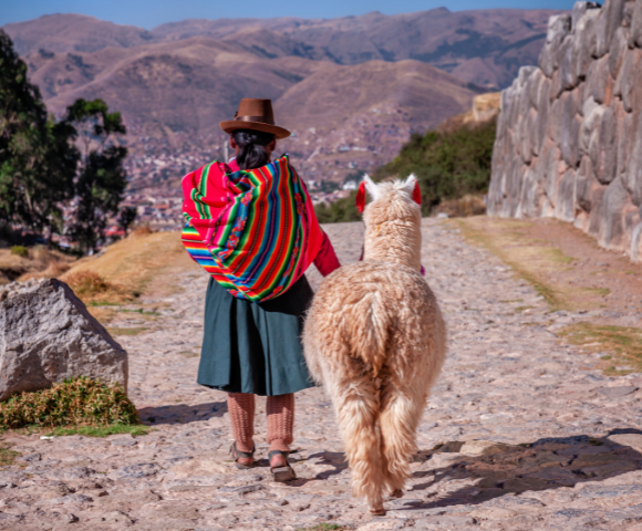 Hola! 20 Day South America Tour Image 3