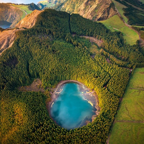 Aerial view of a vibrant blue lake surrounded by a dense forest of lush green trees. Adjacent to the forest is a patchy green field, creating contrast.