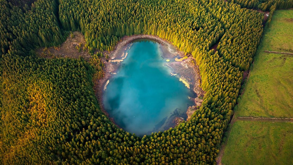 Aerial view of a vibrant blue lake surrounded by a dense forest of lush green trees. Adjacent to the forest is a patchy green field, creating contrast.