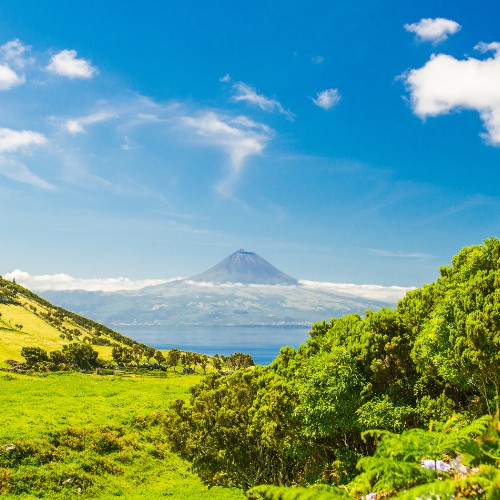 Lush green fields and dense trees frame a distant volcano under a bright blue sky with scattered clouds, evoking a serene and vibrant scene.