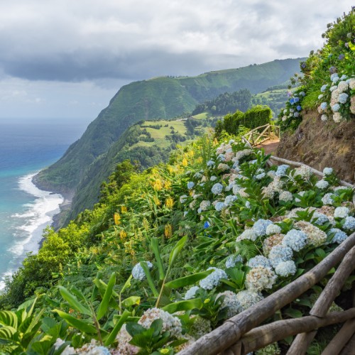 Scenic coastal view with vibrant green cliffs and blue ocean. A path lined with white hydrangeas and stone walls evokes a serene, natural beauty.