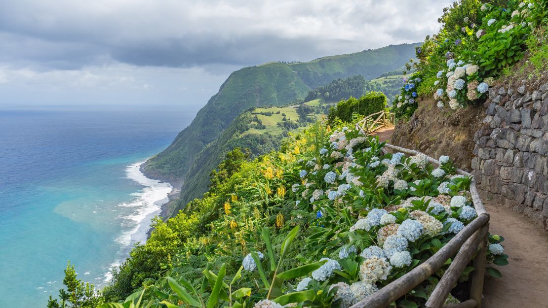 Scenic coastal view with vibrant green cliffs and blue ocean. A path lined with white hydrangeas and stone walls evokes a serene, natural beauty.