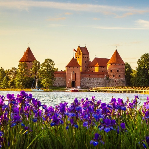 A picturesque castle with red turrets is seen across a lake, surrounded by lush greenery. Vibrant purple flowers in the foreground accentuate the serene scene.
