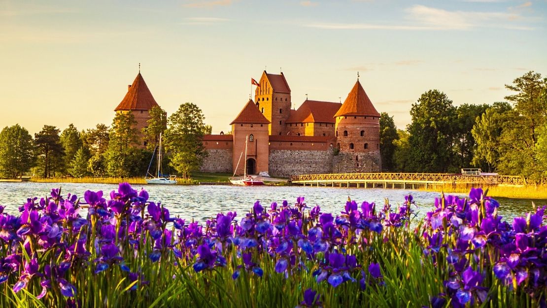 A picturesque castle with red turrets is seen across a lake, surrounded by lush greenery. Vibrant purple flowers in the foreground accentuate the serene scene.