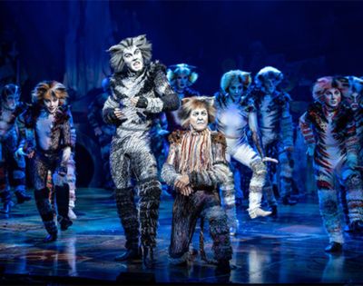 Group of performers in the Cats musical dressed in detailed cat costumes with fur textures and face paint, standing and dancing on a vibrant stage. The set includes scattered props and a backdrop with glowing blue tones, creating a mystical atmosphere.