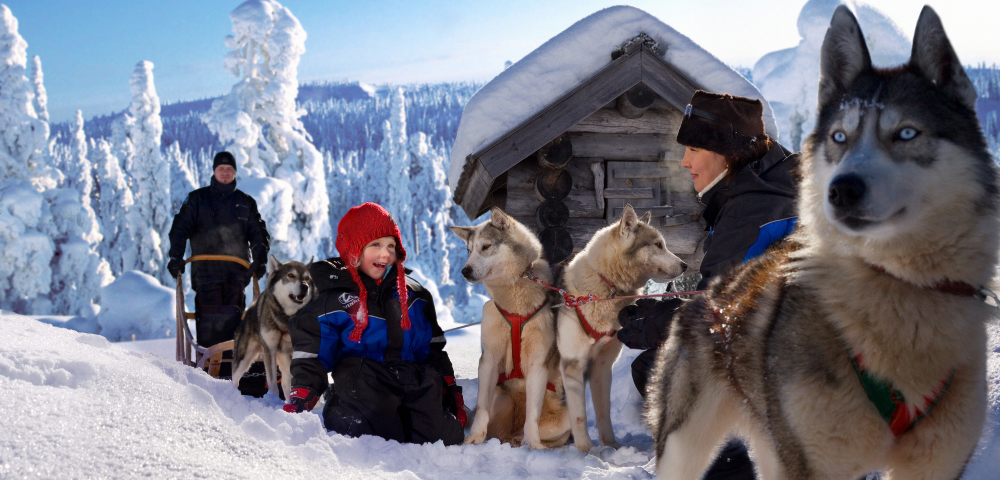 11 Day Winter Lapland Adventure Tour Image 4