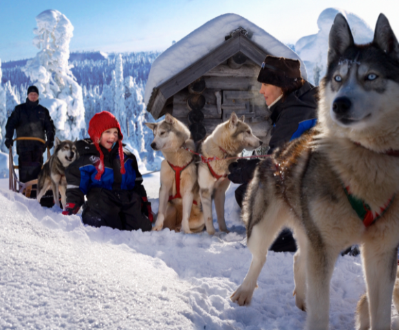 11 Day Winter Lapland Adventure Tour Image 4