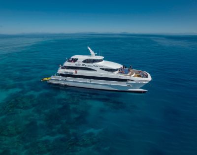 A sleek white catamaran named 