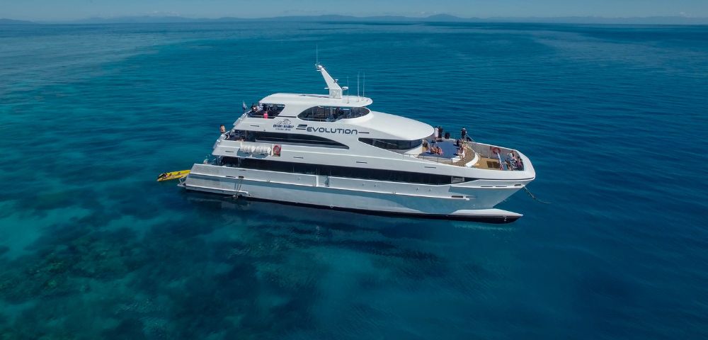 A sleek white catamaran named 