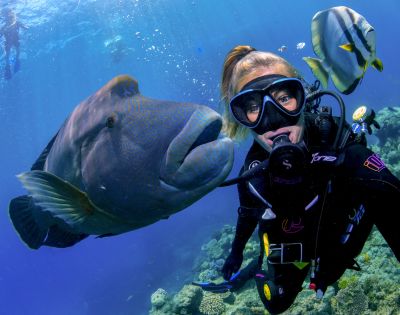 A scuba diver and a large fish swim together in vibrant blue water. The diver wears a black wetsuit and mask, conveying a sense of adventure and joy.