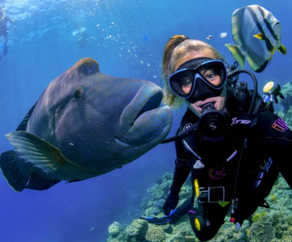 A scuba diver and a large fish swim together in vibrant blue water. The diver wears a black wetsuit and mask, conveying a sense of adventure and joy.