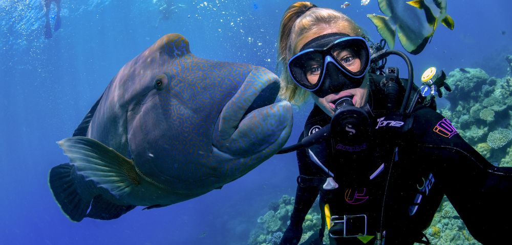 A scuba diver and a large fish swim together in vibrant blue water. The diver wears a black wetsuit and mask, conveying a sense of adventure and joy.