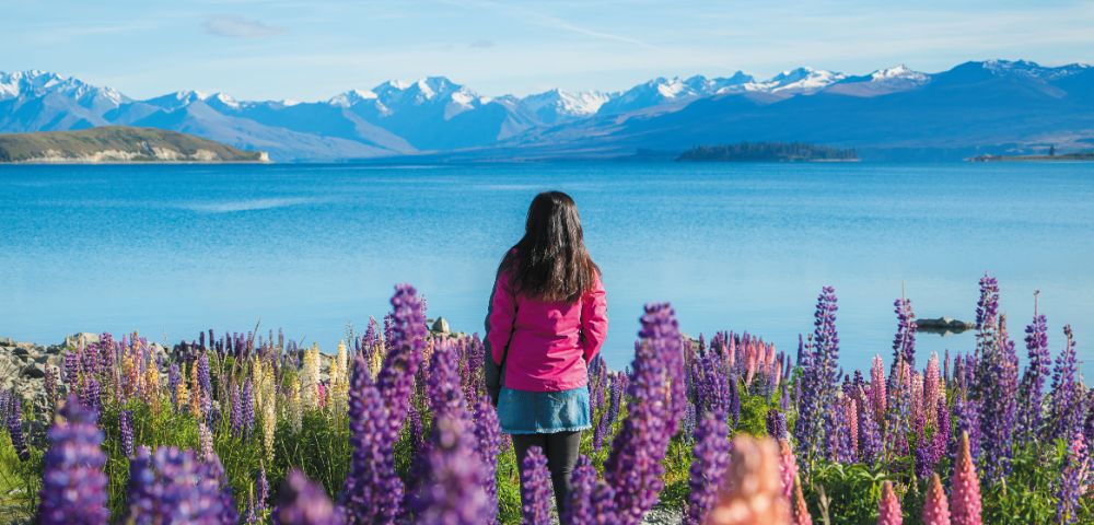 A woman in a pink jacket stands among vibrant lupines, gazing at a serene blue lake with snow-capped mountains in the distance under clear skies.