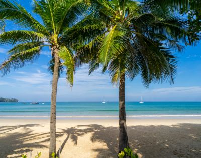 A serene beach scene with golden sand and turquoise waters, framed by two lush palm trees. Distant sailboats dot the horizon under a clear, blue sky.