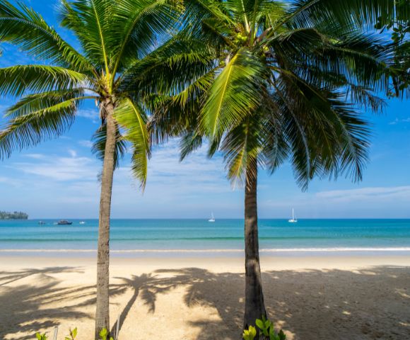 A serene beach scene with golden sand and turquoise waters, framed by two lush palm trees. Distant sailboats dot the horizon under a clear, blue sky.