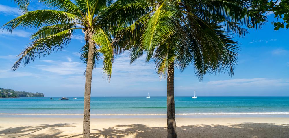 A serene beach scene with golden sand and turquoise waters, framed by two lush palm trees. Distant sailboats dot the horizon under a clear, blue sky.