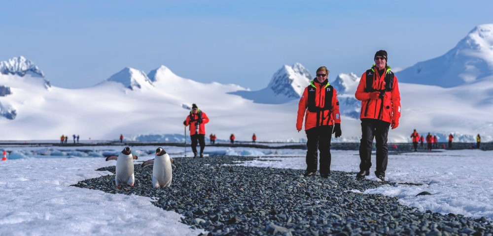 Two people in red jackets walk on a rocky path in Antarctica, flanked by two penguins. Snowy mountains and a clear blue sky are in the background.