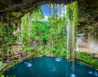 A lush, green cenote with clear blue water, surrounded by hanging vines and rocky walls. Sunlight filters through, creating a serene, magical atmosphere.