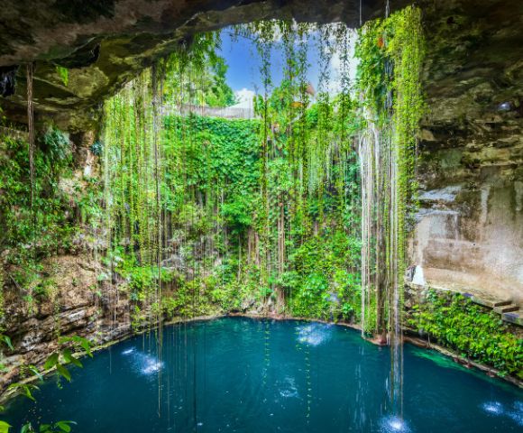 A lush, green cenote with clear blue water, surrounded by hanging vines and rocky walls. Sunlight filters through, creating a serene, magical atmosphere.