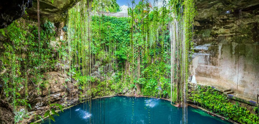 A lush, green cenote with clear blue water, surrounded by hanging vines and rocky walls. Sunlight filters through, creating a serene, magical atmosphere.