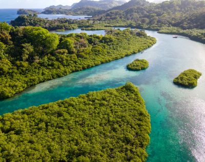 A lush green landscape with a winding turquoise river flows through dense forests, creating a serene and vibrant scene, evoking tranquility and natural beauty.