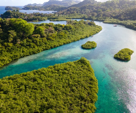 A lush green landscape with a winding turquoise river flows through dense forests, creating a serene and vibrant scene, evoking tranquility and natural beauty.