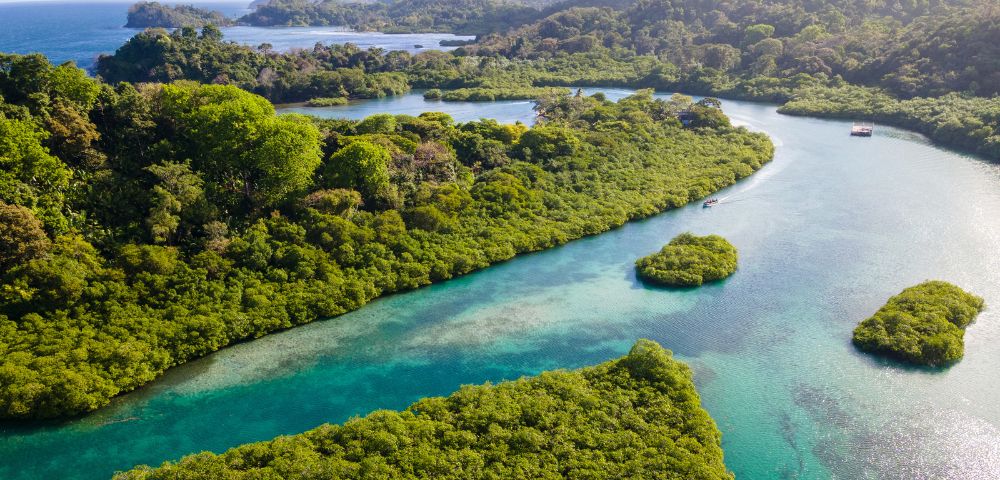 A lush green landscape with a winding turquoise river flows through dense forests, creating a serene and vibrant scene, evoking tranquility and natural beauty.
