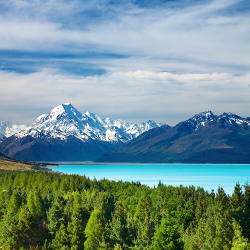 Snow-capped mountains under a blue sky, with turquoise lake in the foreground and dense green forest along the shore, conveying serenity and grandeur.
