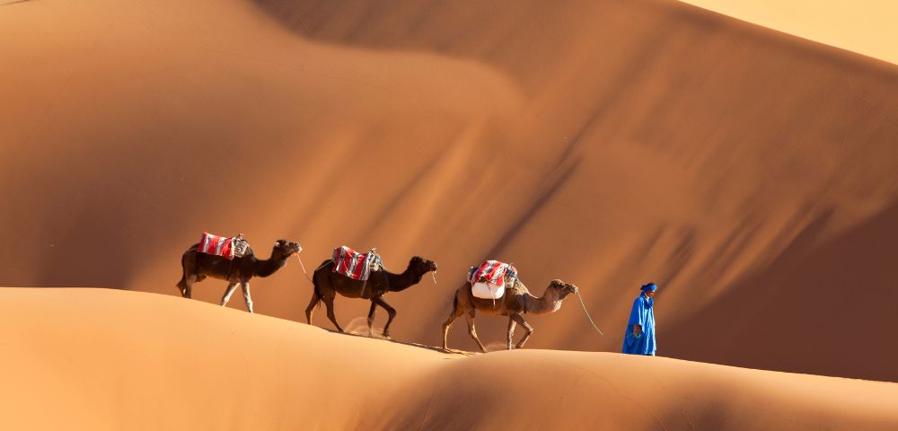 A person in a blue robe leads three camels with red saddles across sunlit desert dunes, creating a serene and adventurous atmosphere.