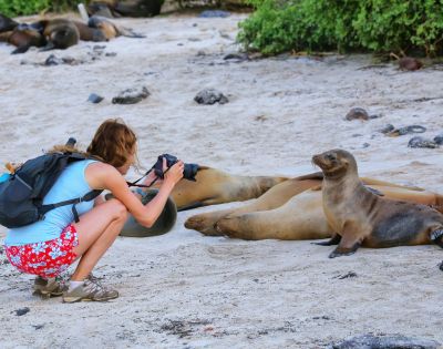 A woman with a backpack and camera crouches on a sandy beach, photographing a curious sea lion pup. Nearby, more sea lions rest. Verdant foliage in the background.