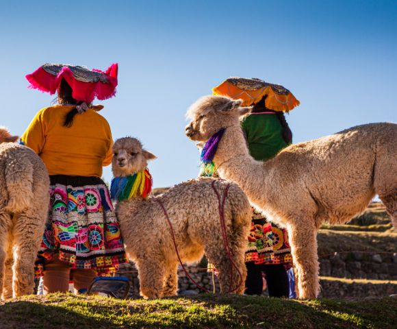 26 Day Galapagos Islands and South America tour Image 2