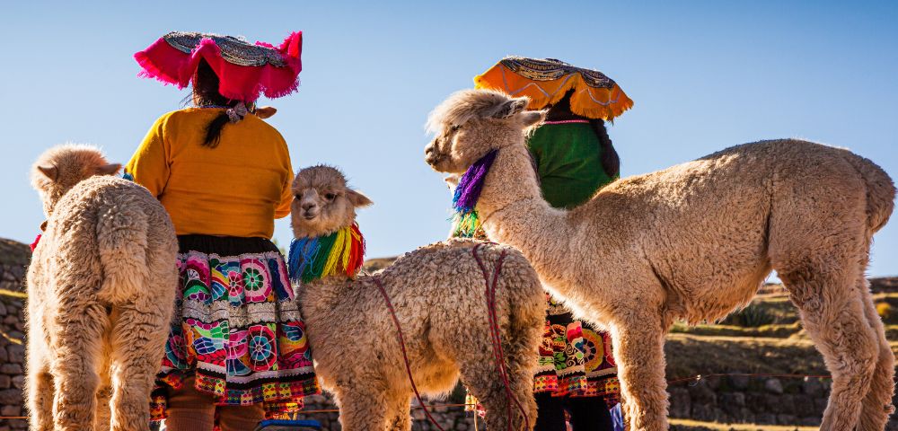 26 Day Galapagos Islands and South America tour Image 2