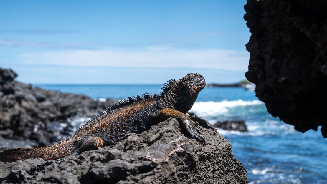 Print Stylesheet Image