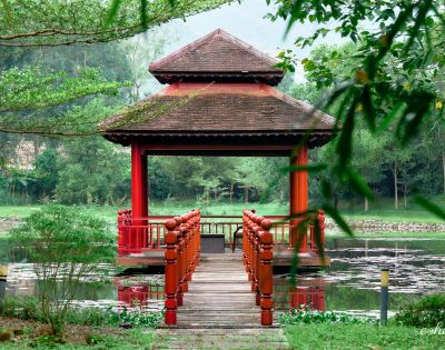 A serene red gazebo stands on a wooden walkway over a pond, surrounded by lush green trees. The scene conveys tranquility and natural beauty.