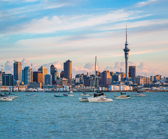 New Year New Horizons | Sydney to Auckland Adventure 2027 Main Image