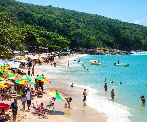 CAPTIVATING BRAZILIAN DISCOVERY - Gallery Image