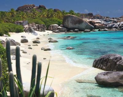 Tropical beach with clear turquoise water, white sand, large rocks, and lush palm trees. A cactus is visible in the foreground, creating a serene vibe.