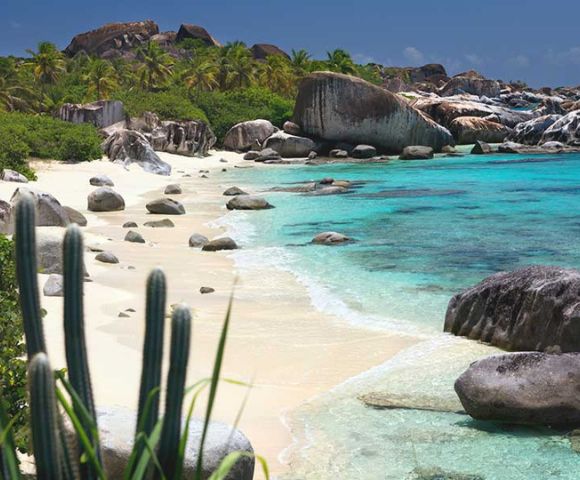 Tropical beach with clear turquoise water, white sand, large rocks, and lush palm trees. A cactus is visible in the foreground, creating a serene vibe.