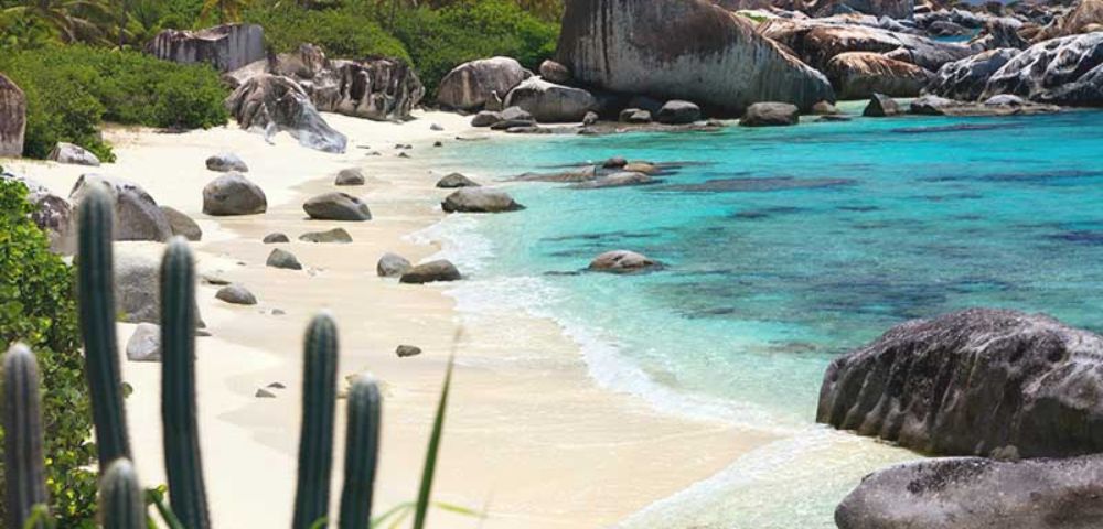 Tropical beach with clear turquoise water, white sand, large rocks, and lush palm trees. A cactus is visible in the foreground, creating a serene vibe.
