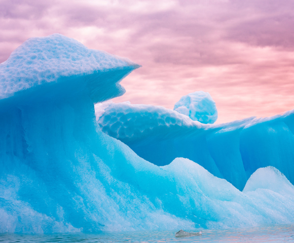Japan’s Cherry Blossoms to Alaska’s Glacier Escape 2027 - Gallery Image