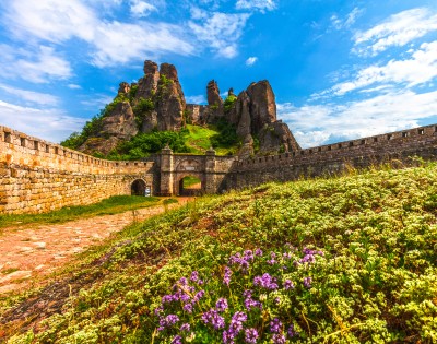 Ancient stone fortress surrounded by lush greenery and wildflowers under a vibrant blue sky with scattered clouds. Majestic rock formations rise behind.
