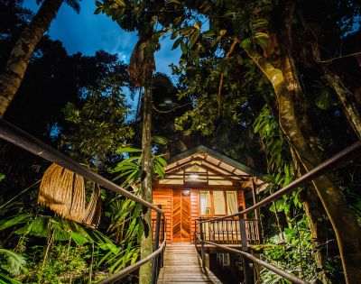 Wooden cabin nestled in a lush, tropical rainforest, viewed from a pathway at dusk. Warm light glows from inside, creating an inviting, tranquil atmosphere.