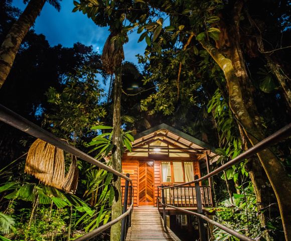 Wooden cabin nestled in a lush, tropical rainforest, viewed from a pathway at dusk. Warm light glows from inside, creating an inviting, tranquil atmosphere.