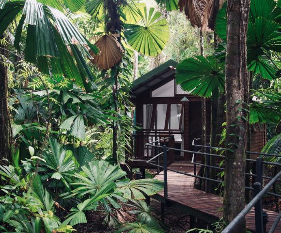 A wooden cabin with large windows is nestled in a lush tropical forest. Surrounded by towering trees and broad-leafed plants, it conveys a serene and secluded atmosphere.