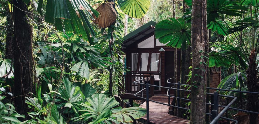 A wooden cabin with large windows is nestled in a lush tropical forest. Surrounded by towering trees and broad-leafed plants, it conveys a serene and secluded atmosphere.