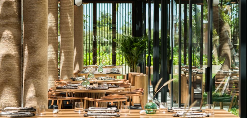 Bright, modern restaurant interior with wooden tables and chairs, large glass windows, lush green plants outside, creating a calm, inviting atmosphere.