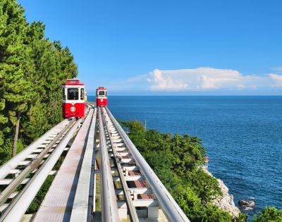 Red trolley cars travel on parallel tracks through lush green trees beside a serene blue ocean under a clear sky, creating a peaceful scene.